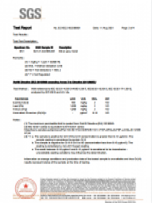 2022年SGS认证报告